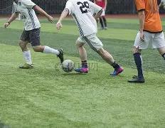 南非队勇捧,橄榄球世界,杯桂冠,MK体育链接,MK体育地址,MK体育官方平台,MK体育入口站点