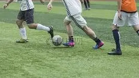 南非队勇捧2025橄榄球世界杯桂冠